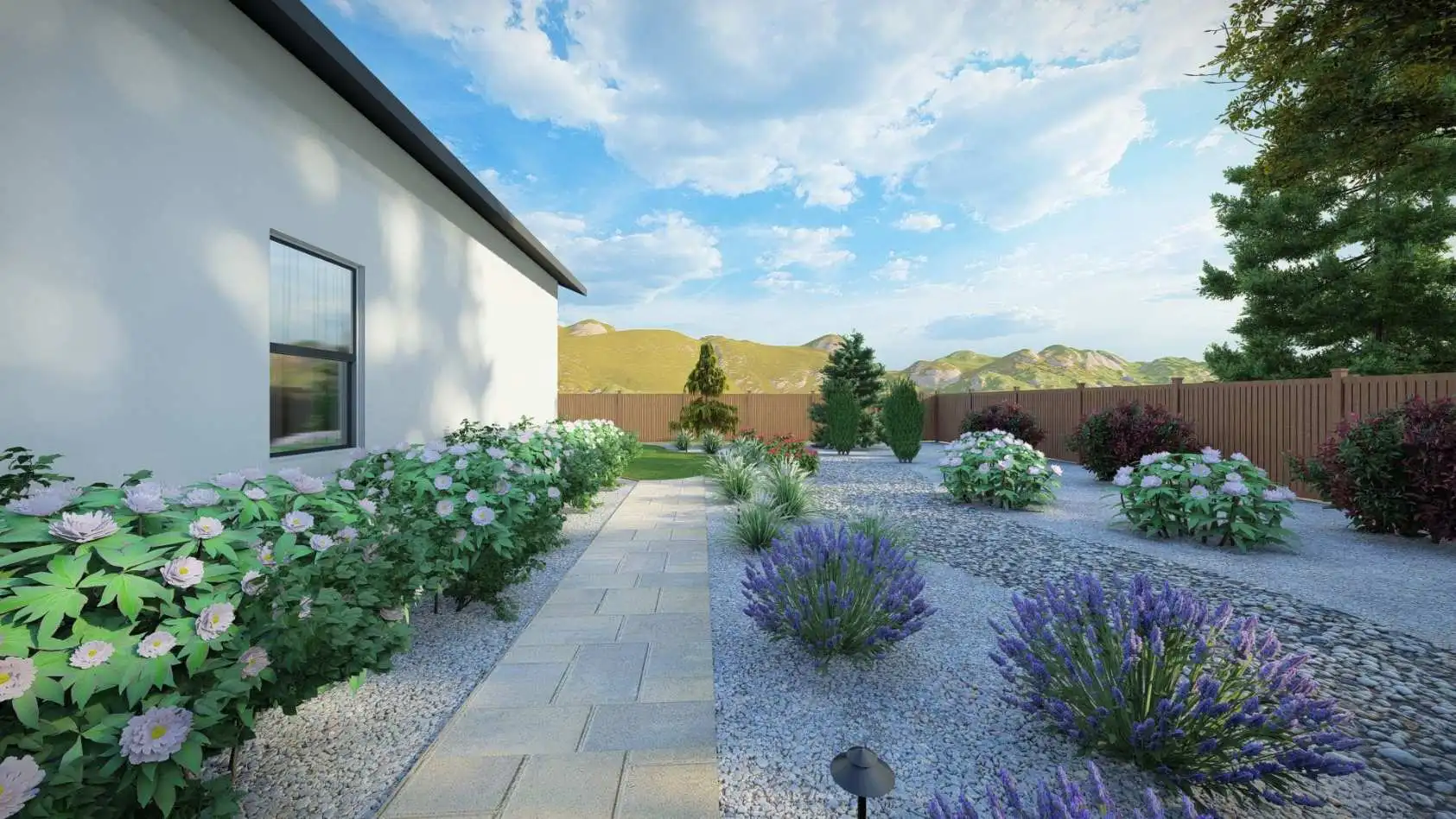 Drought-tolerant side yard