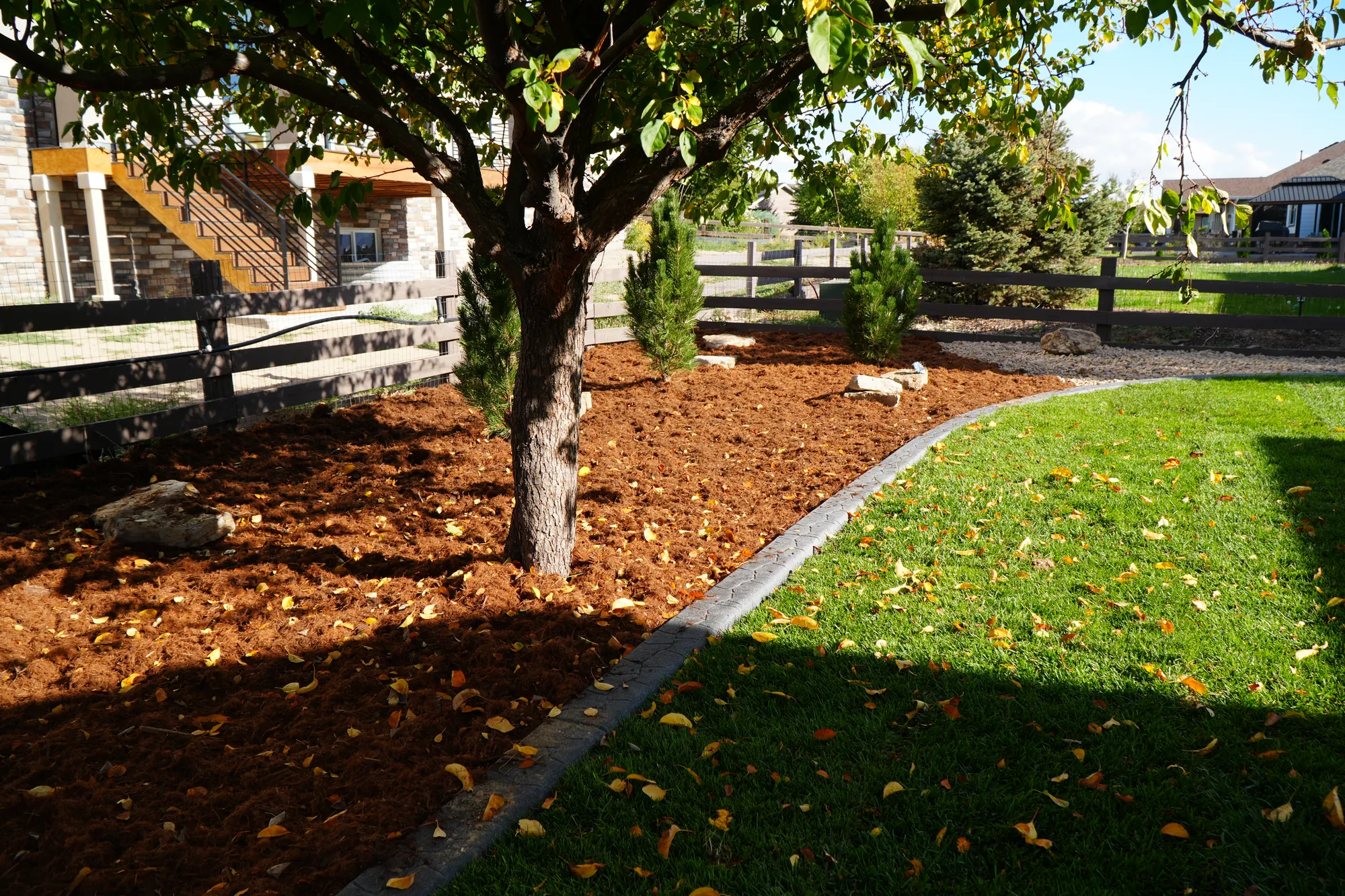 Mulch Beds: mulch bed under a mature tree, edged with curbing